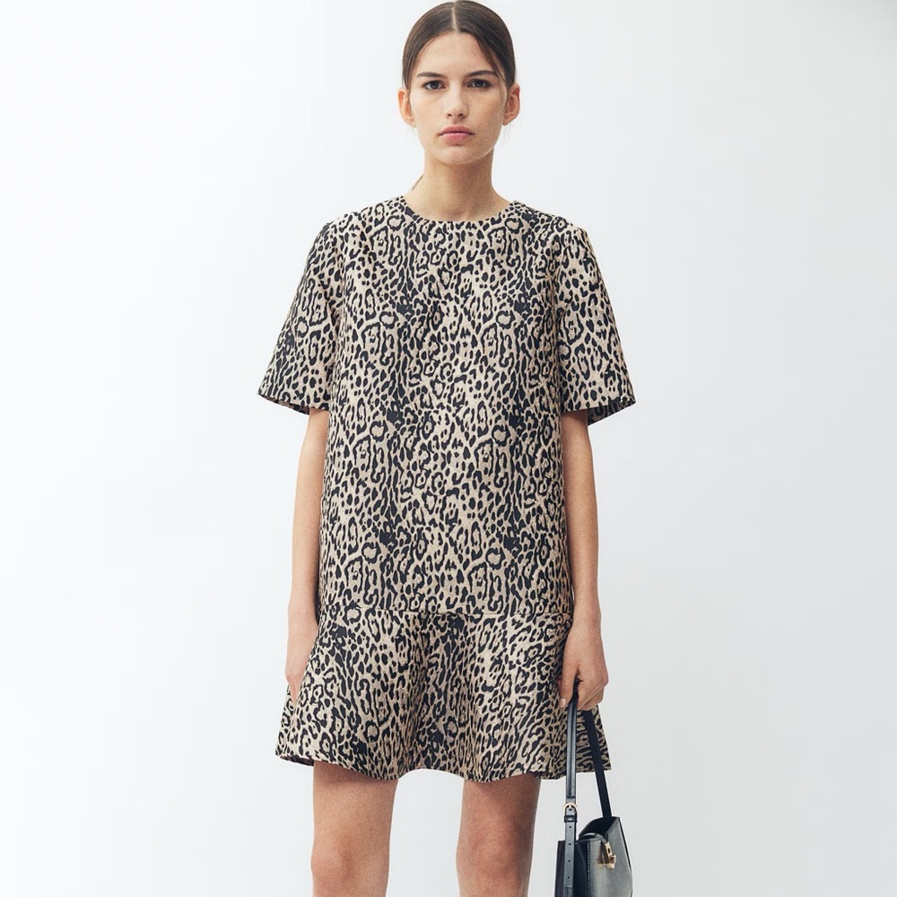 H&M leopard Animal Print Mini Dress